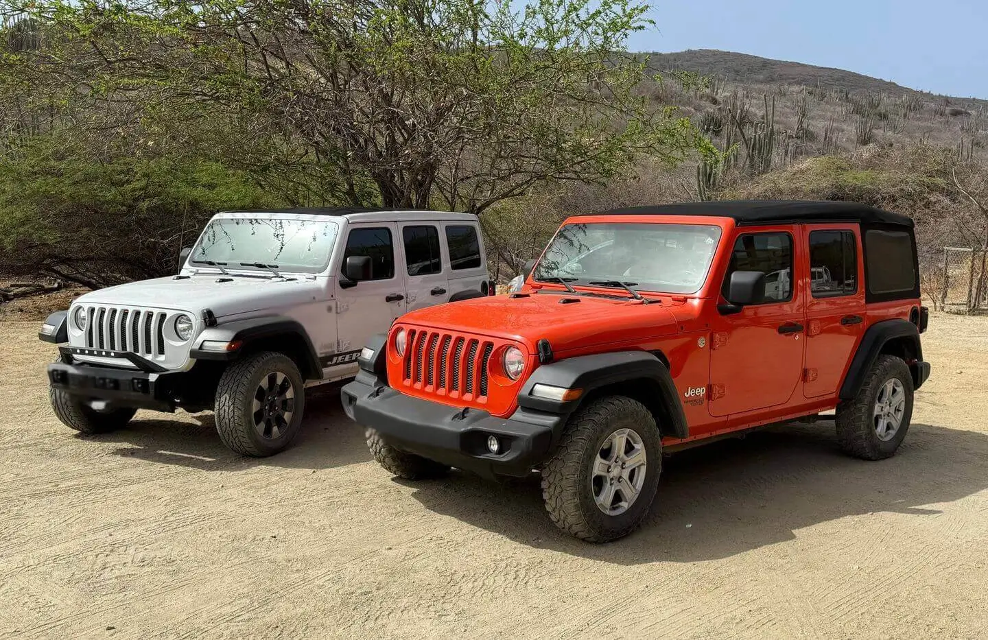 JEEP RENTAL FROM OSO ARUBA
